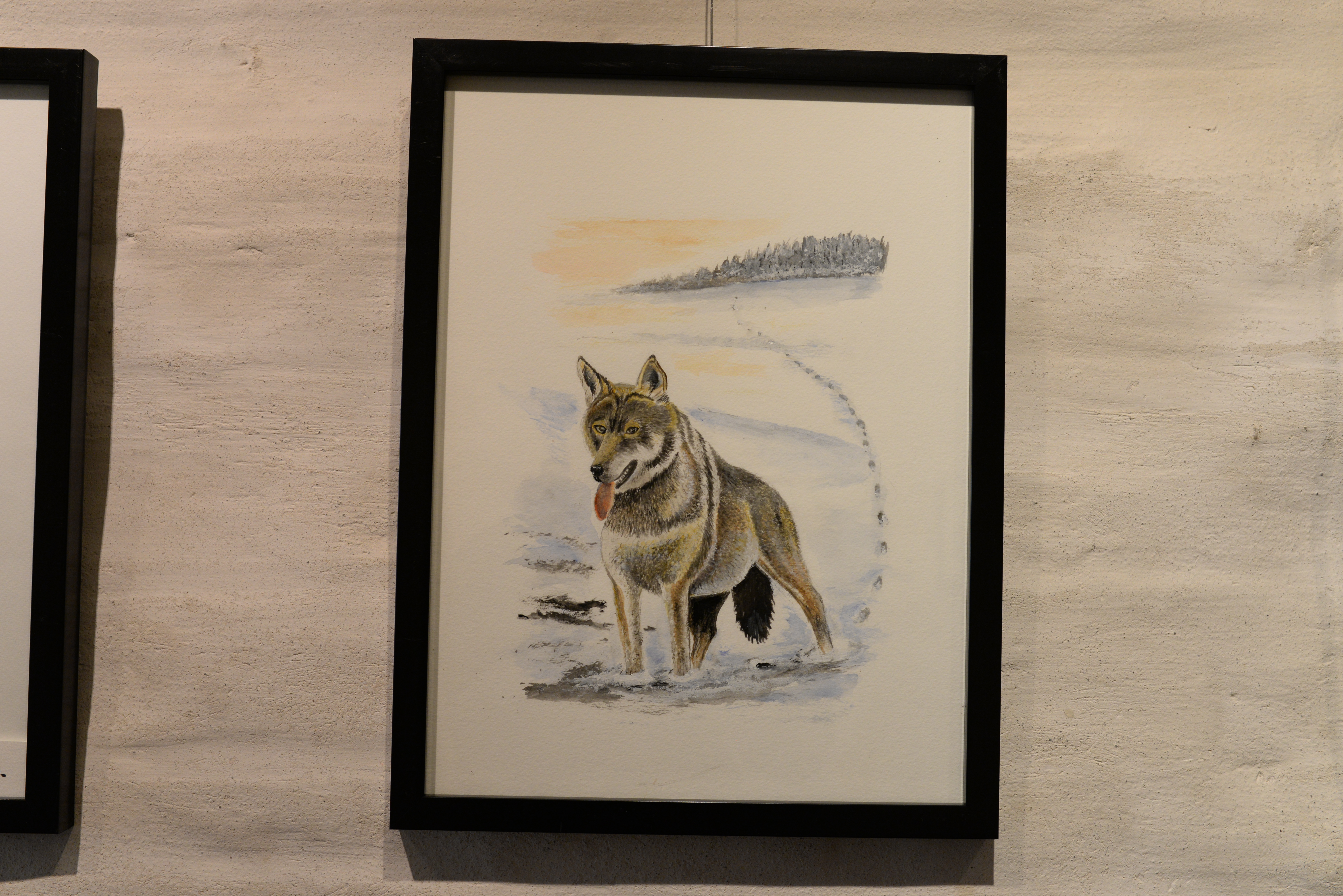 DSC_2705.JPG